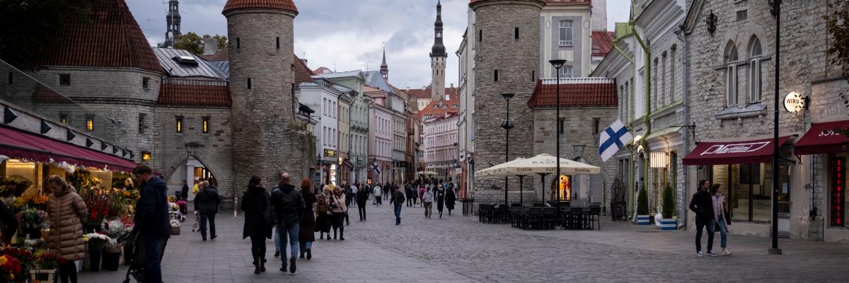 Serwis Vysokoškolské vzdelávanie (Estónsko): vysoké školy, bakalárske, magisterské a doktorandské štúdium, v.SK, study